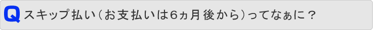 スキップ払い(お支払いは6ヵ月後から)ってなぁに?