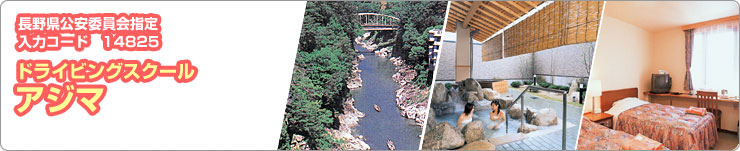 �ɥ饤�ӥ󥰥������륢����