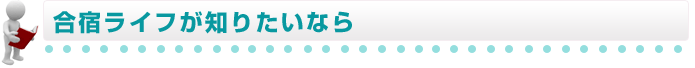 ��ɥ饤�դ��Τꤿ���ʤ�